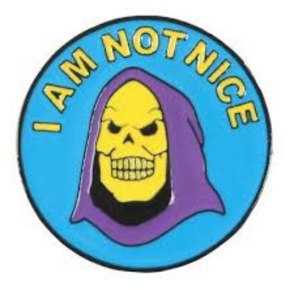 Jewelry - 5/$20 Skeletor I Am Not Nice Enamel Pin